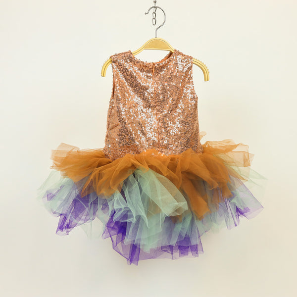 Girls Frock Shimmer Net Multi