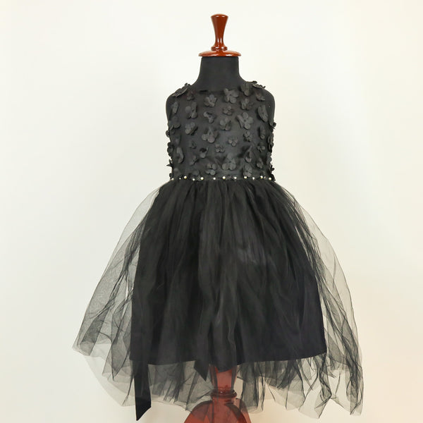 Girls Fancy Frock Flower & Net