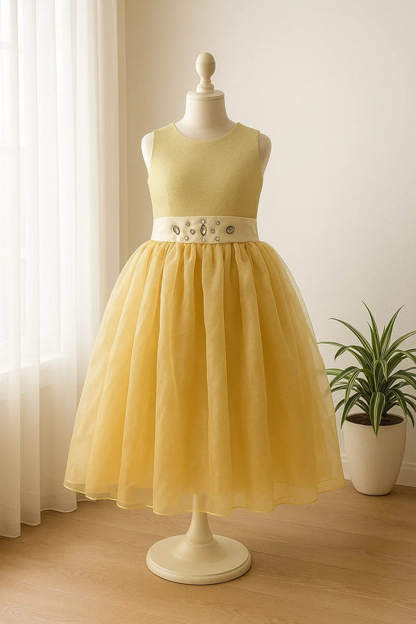 Girls Fancy Frock Beeds & Shimmer