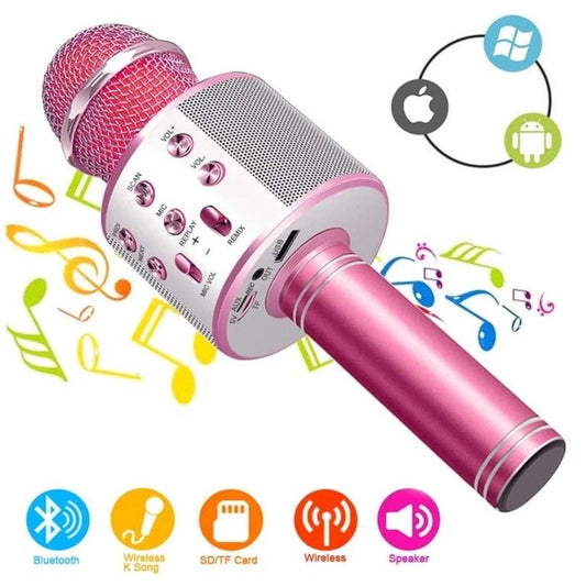 Mic Speaker